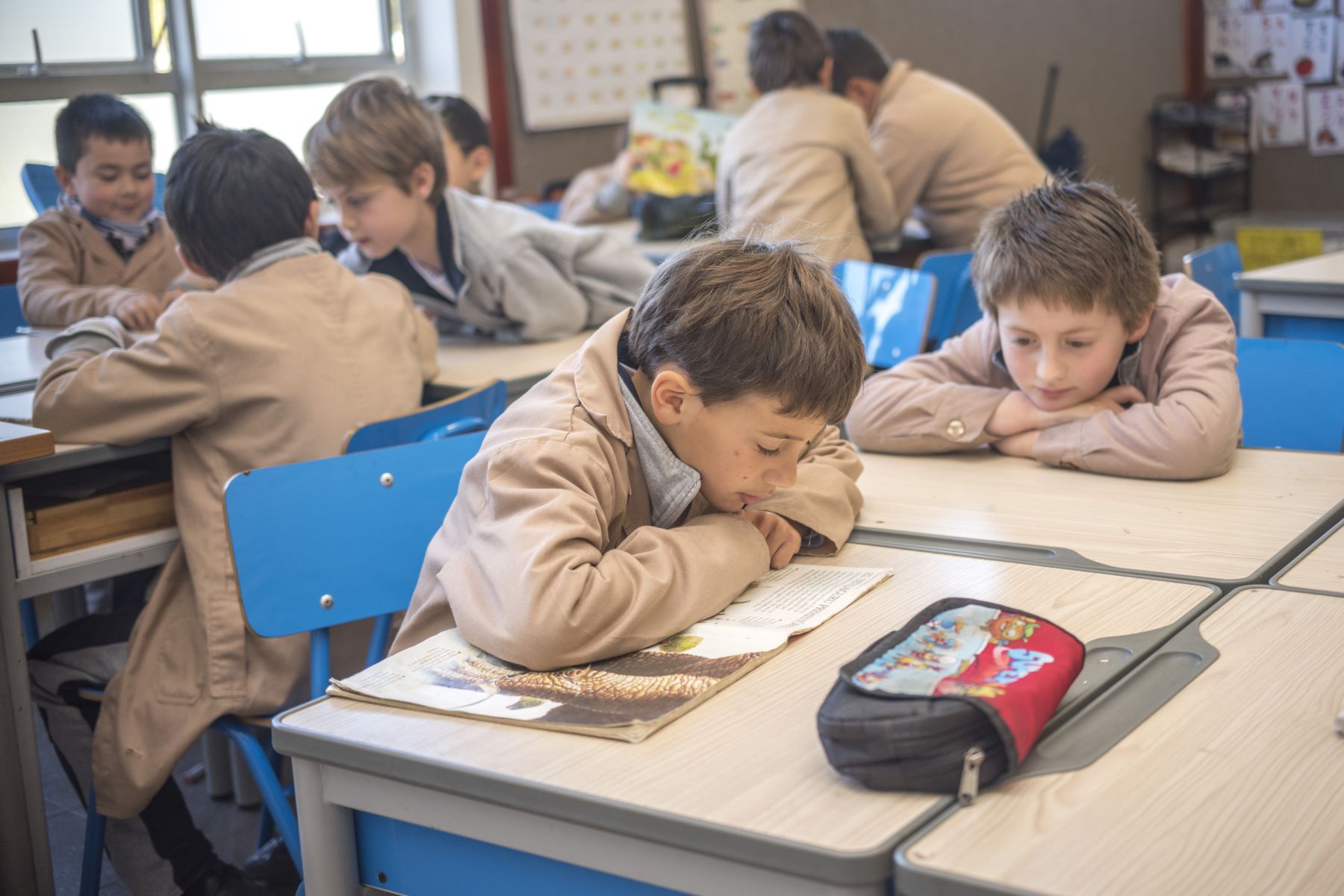 Alumnos de primer ciclo del Colegio Montemar trabajando en su sala de clases